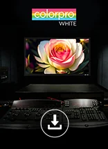 projector or tv
